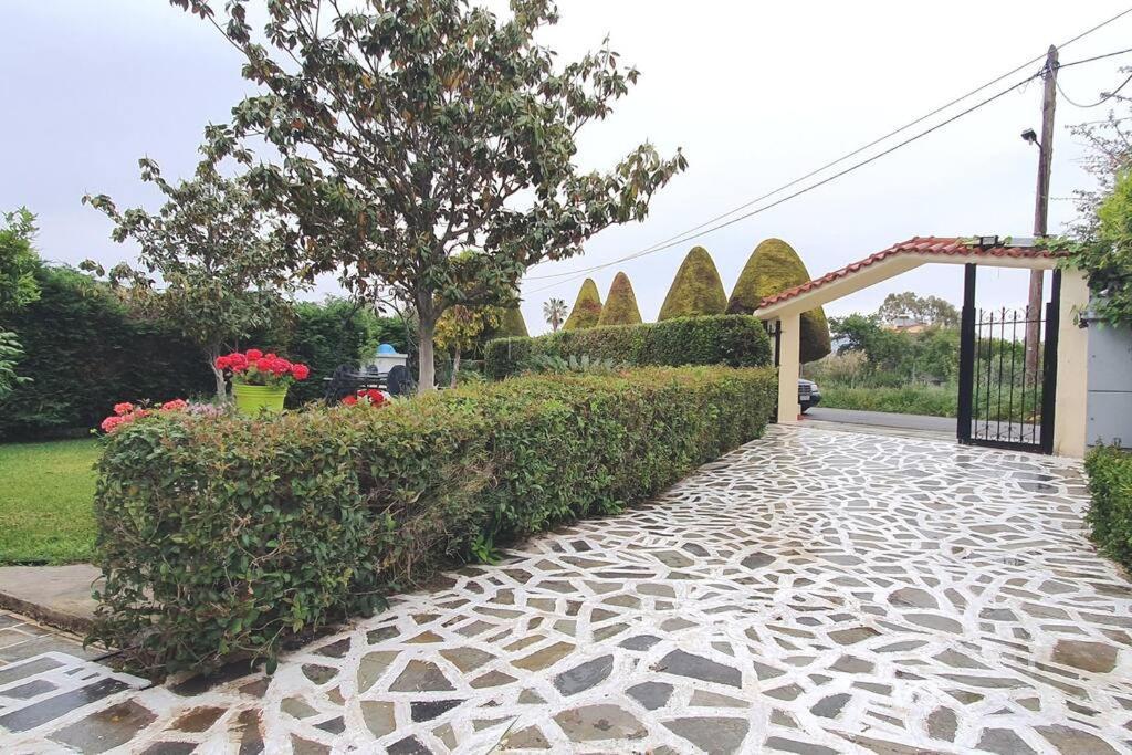 Vacation Studio Oropos Nea Palatia Екстер'єр фото